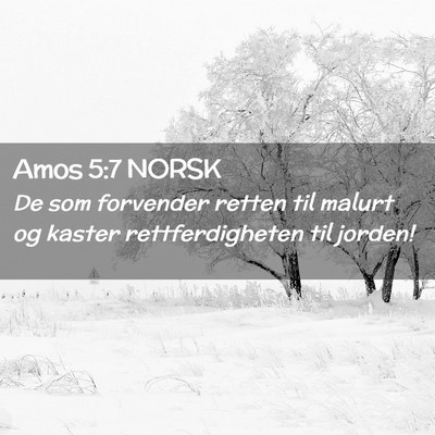 Picture 02 - Amos 5:7 NORSK - De som forvender retten til malurt og kaster - Bible Verse Picture