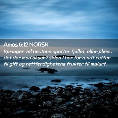 Picture 02 - Amos 6:12 NORSK - Springer vel hestene opefter fjellet, eller - Bible Verse Picture