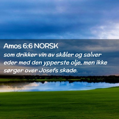 Picture 02 - Amos 6:6 NORSK - som drikker vin av skåler og salver eder med den - Bible Verse Picture
