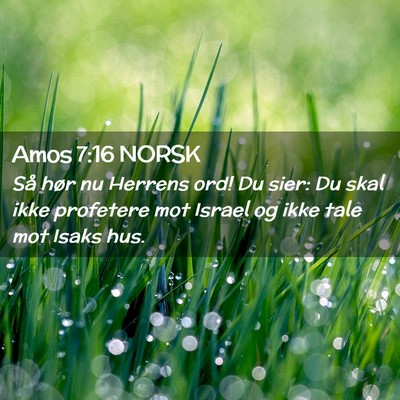 Picture 02 - Amos 7:16 NORSK - Så hør nu Herrens ord! Du sier: Du skal ikke - Bible Verse Picture