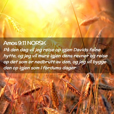 Picture 02 - Amos 9:11 NORSK - På den dag vil jeg reise op igjen Davids falne - Bible Verse Picture