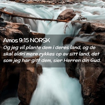 Picture 02 - Amos 9:15 NORSK - Og jeg vil plante dem i deres land, og de skal - Bible Verse Picture