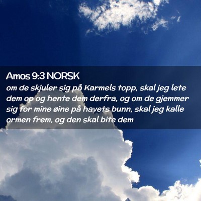Picture 02 - Amos 9:3 NORSK - om de skjuler sig på Karmels topp, skal jeg lete - Bible Verse Picture