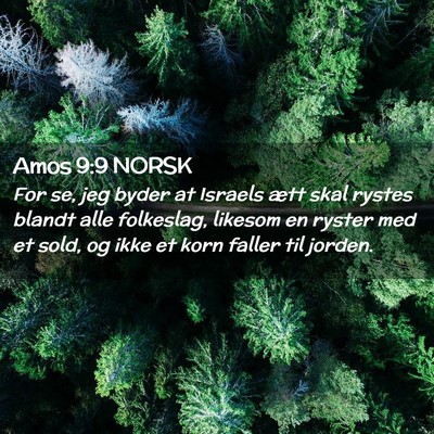 Picture 02 - Amos 9:9 NORSK - For se, jeg byder at Israels ætt skal rystes - Bible Verse Picture