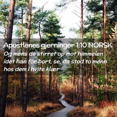 Picture 02 - Apostlenes gjerninger 1:10 NORSK - Og mens de stirret op mot himmelen idet han fór - Bible Verse Picture