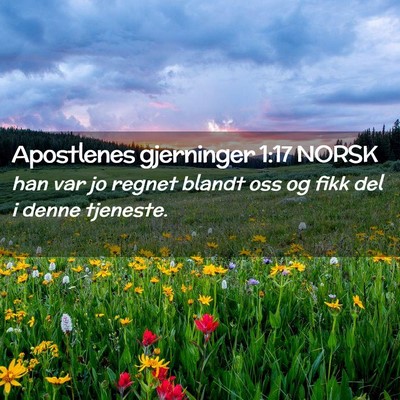 Picture 02 - Apostlenes gjerninger 1:17 NORSK - han var jo regnet blandt oss og fikk del i denne - Bible Verse Picture