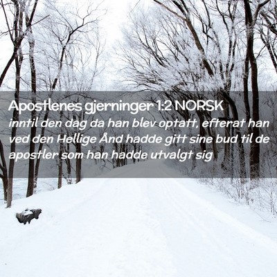 Picture 02 - Apostlenes gjerninger 1:2 NORSK - inntil den dag da han blev optatt, efterat han - Bible Verse Picture
