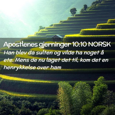 Picture 02 - Apostlenes gjerninger 10:10 NORSK - Han blev da sulten og vilde ha noget å ete. Mens - Bible Verse Picture