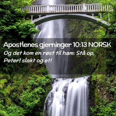 Picture 02 - Apostlenes gjerninger 10:13 NORSK - Og det kom en røst til ham: Stå op, Peter! - Bible Verse Picture