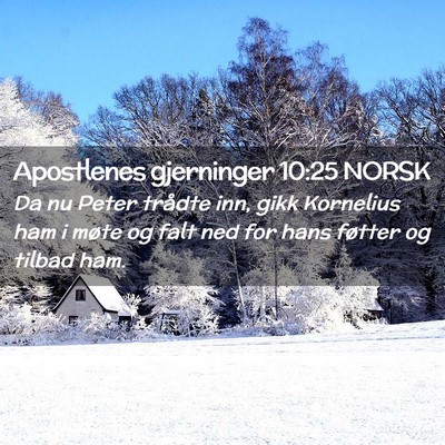 Picture 02 - Apostlenes gjerninger 10:25 NORSK - Da nu Peter trådte inn, gikk Kornelius ham i - Bible Verse Picture
