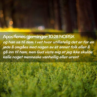 Picture 02 - Apostlenes gjerninger 10:28 NORSK - og han sa til dem: I vet hvor utillatelig det er - Bible Verse Picture
