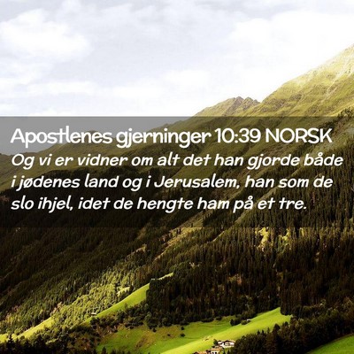 Picture 02 - Apostlenes gjerninger 10:39 NORSK - Og vi er vidner om alt det han gjorde både i - Bible Verse Picture