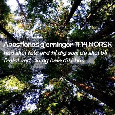 Picture 02 - Apostlenes gjerninger 11:14 NORSK - han skal tale ord til dig som du skal bli frelst - Bible Verse Picture