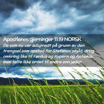 Picture 02 - Apostlenes gjerninger 11:19 NORSK - De som nu var adspredt på grunn av den trengsel - Bible Verse Picture