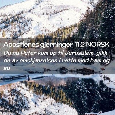 Picture 02 - Apostlenes gjerninger 11:2 NORSK - Da nu Peter kom op til Jerusalem, gikk de av - Bible Verse Picture