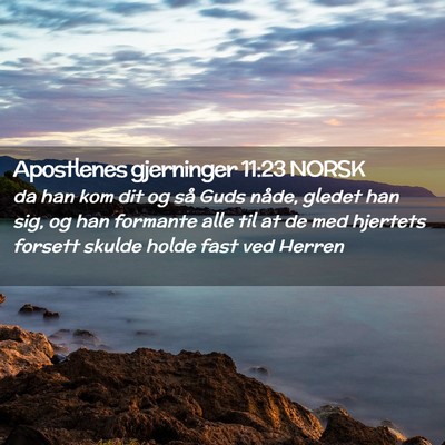 Picture 02 - Apostlenes gjerninger 11:23 NORSK - da han kom dit og så Guds nåde, gledet han sig, - Bible Verse Picture