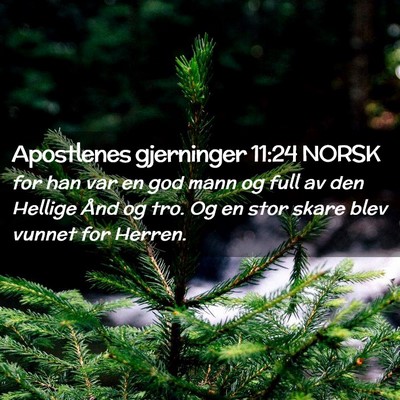 Picture 02 - Apostlenes gjerninger 11:24 NORSK - for han var en god mann og full av den Hellige - Bible Verse Picture