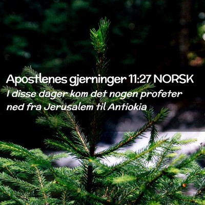Picture 02 - Apostlenes gjerninger 11:27 NORSK - I disse dager kom det nogen profeter ned fra - Bible Verse Picture