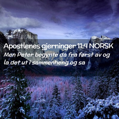 Picture 02 - Apostlenes gjerninger 11:4 NORSK - Men Peter begynte da fra først av og la det ut i - Bible Verse Picture