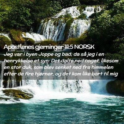 Picture 02 - Apostlenes gjerninger 11:5 NORSK - Jeg var i byen Joppe og bad; da så jeg i en - Bible Verse Picture