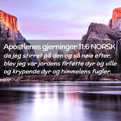 Picture 02 - Apostlenes gjerninger 11:6 NORSK - da jeg stirret på den og så nøie efter, blev - Bible Verse Picture