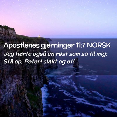 Picture 02 - Apostlenes gjerninger 11:7 NORSK - Jeg hørte også en røst som sa til mig: Stå - Bible Verse Picture