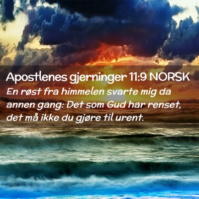 Picture 02 - Apostlenes gjerninger 11:9 NORSK - En røst fra himmelen svarte mig da annen gang: - Bible Verse Picture