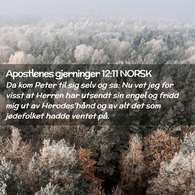 Picture 02 - Apostlenes gjerninger 12:11 NORSK - Da kom Peter til sig selv og sa: Nu vet jeg for - Bible Verse Picture