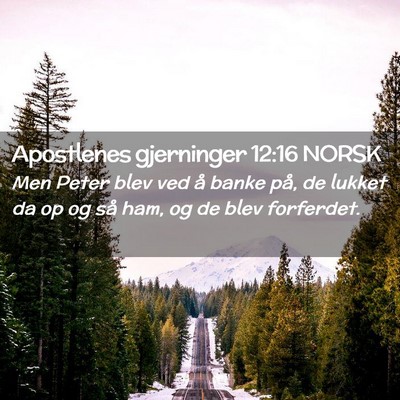 Picture 02 - Apostlenes gjerninger 12:16 NORSK - Men Peter blev ved å banke på, de lukket da op - Bible Verse Picture