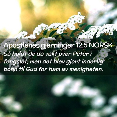 Picture 02 - Apostlenes gjerninger 12:5 NORSK - Så holdt de da vakt over Peter i fengslet; men - Bible Verse Picture