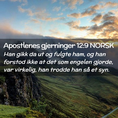 Picture 02 - Apostlenes gjerninger 12:9 NORSK - Han gikk da ut og fulgte ham, og han forstod ikke - Bible Verse Picture
