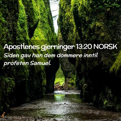 Picture 02 - Apostlenes gjerninger 13:20 NORSK - Siden gav han dem dommere inntil profeten - Bible Verse Picture