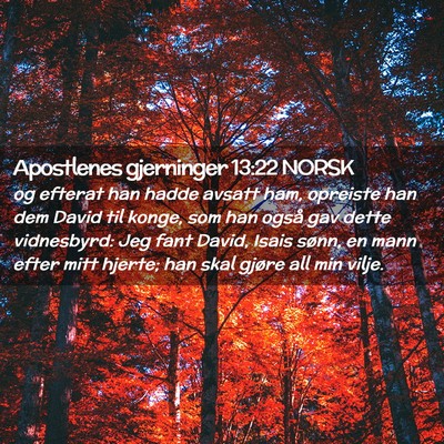 Picture 02 - Apostlenes gjerninger 13:22 NORSK - og efterat han hadde avsatt ham, opreiste han dem - Bible Verse Picture