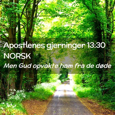 Picture 02 - Apostlenes gjerninger 13:30 NORSK - Men Gud opvakte ham fra de - Bible Verse Picture