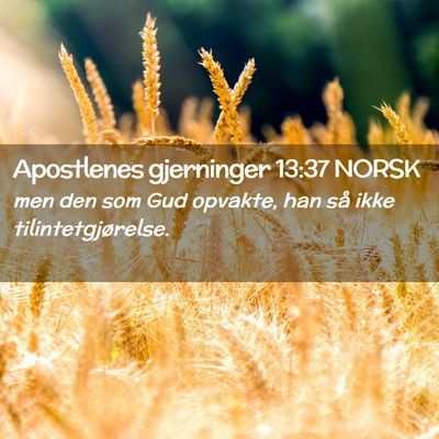 Picture 02 - Apostlenes gjerninger 13:37 NORSK - men den som Gud opvakte, han så ikke - Bible Verse Picture