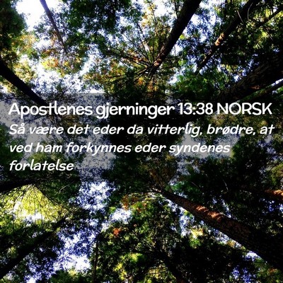 Picture 02 - Apostlenes gjerninger 13:38 NORSK - Så være det eder da vitterlig, brødre, at ved - Bible Verse Picture