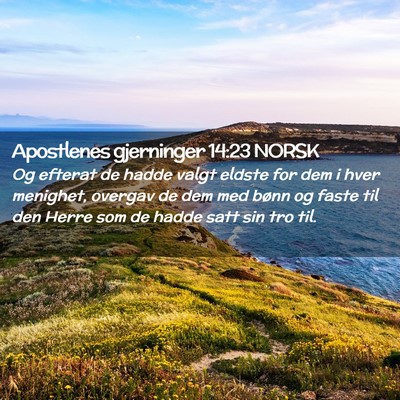 Picture 02 - Apostlenes gjerninger 14:23 NORSK - Og efterat de hadde valgt eldste for dem i hver - Bible Verse Picture