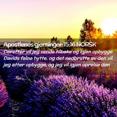 Picture 02 - Apostlenes gjerninger 15:16 NORSK - Derefter vil jeg vende tilbake og igjen opbygge - Bible Verse Picture