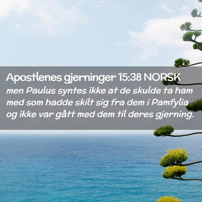Picture 02 - Apostlenes gjerninger 15:38 NORSK - men Paulus syntes ikke at de skulde ta ham med - Bible Verse Picture