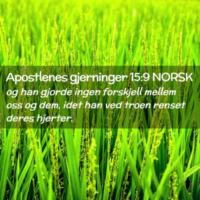 Picture 02 - Apostlenes gjerninger 15:9 NORSK - og han gjorde ingen forskjell mellem oss og dem, - Bible Verse Picture