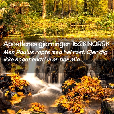 Picture 02 - Apostlenes gjerninger 16:28 NORSK - Men Paulus ropte med høi røst: Gjør dig ikke - Bible Verse Picture