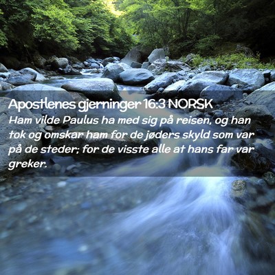 Picture 02 - Apostlenes gjerninger 16:3 NORSK - Ham vilde Paulus ha med sig på reisen, og han - Bible Verse Picture
