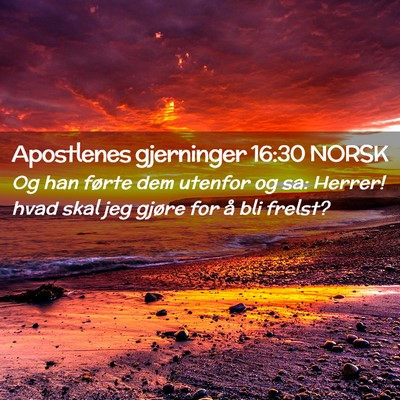 Picture 02 - Apostlenes gjerninger 16:30 NORSK - Og han førte dem utenfor og sa: Herrer! hvad - Bible Verse Picture