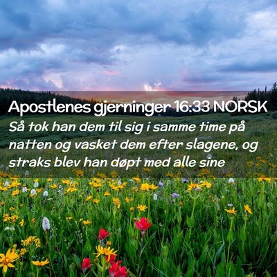 Picture 02 - Apostlenes gjerninger 16:33 NORSK - Så tok han dem til sig i samme time på natten - Bible Verse Picture