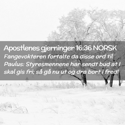 Picture 02 - Apostlenes gjerninger 16:36 NORSK - Fangevokteren fortalte da disse ord til Paulus: - Bible Verse Picture
