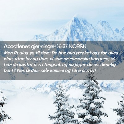 Picture 02 - Apostlenes gjerninger 16:37 NORSK - Men Paulus sa til dem: De har hudstrøket oss for - Bible Verse Picture