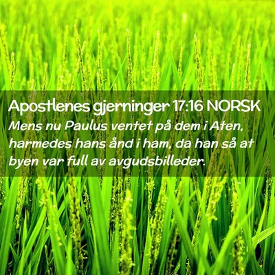 Picture 02 - Apostlenes gjerninger 17:16 NORSK - Mens nu Paulus ventet på dem i Aten, harmedes - Bible Verse Picture