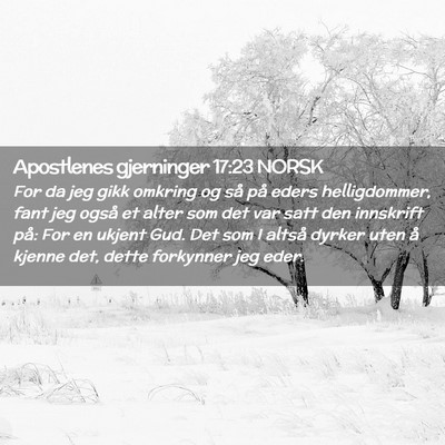 Picture 02 - Apostlenes gjerninger 17:23 NORSK - For da jeg gikk omkring og så på eders - Bible Verse Picture