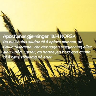 Picture 02 - Apostlenes gjerninger 18:14 NORSK - Da nu Paulus skulde til å oplate munnen, sa - Bible Verse Picture
