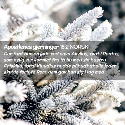 Picture 02 - Apostlenes gjerninger 18:2 NORSK - Der fant han en jøde ved navn Akvilas, født i - Bible Verse Picture